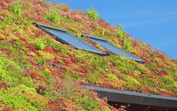 Shannochie living roof systems