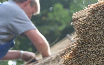 professional Shannochie thatchers