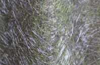 Shannochie fibreglass roof work